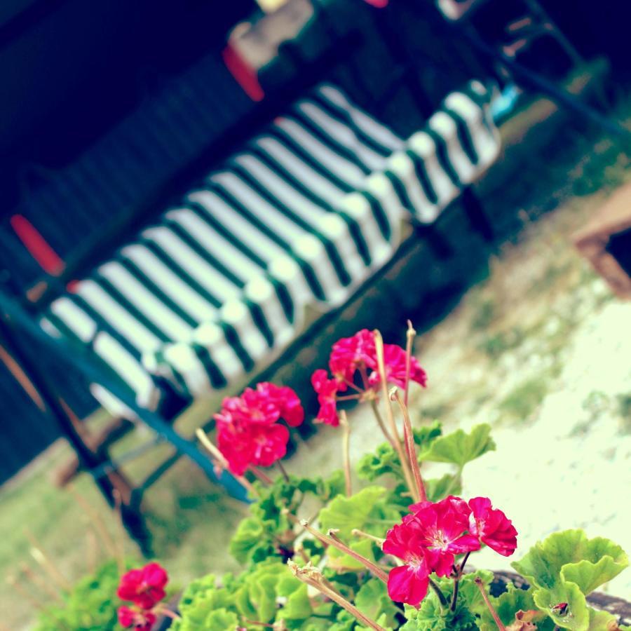 B&B Red House Garlate Zewnętrze zdjęcie